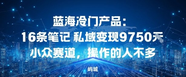蓝海冷门产品：16条笔记私域变现9750米，小众赛道，操作的人不多-网创百晓生