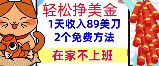 在家不上班，轻松挣美金， 1天收入89美刀，2个免费方法，懒人捡钱