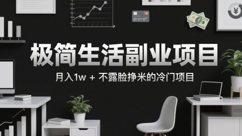 极简生活副业项目，月入1w+不露脸挣米的冷门项目