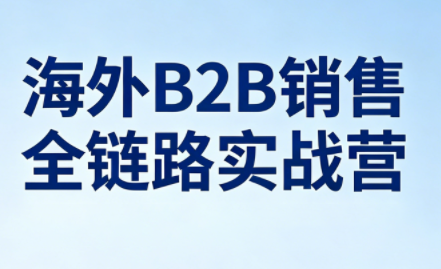 雨哥·海外B2B销售全链路实战营-网创百晓生