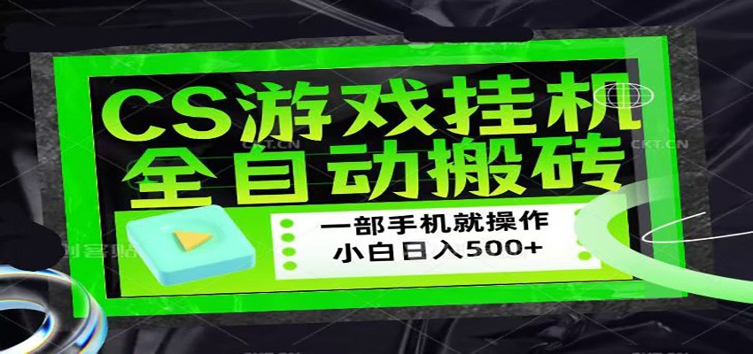 CSGO游戏挂机捡漏搬砖，超稳定的项目，带领1000+小白实现日入500+-网创百晓生