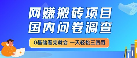 网创搬砖项目，国内问卷调查，小白轻松上手，一天三四张的也不难，干就完了【揭秘】