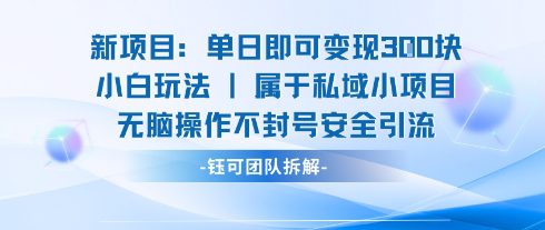 新项目单日即可变现3张的小白玩法无脑操作不封号安全引流