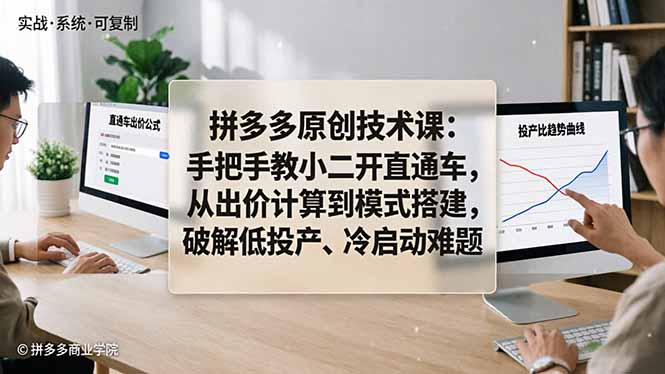 拼多多原创技术课：手把手教小二开直通车，从出价计算到模式搭建，破解低投产、冷启动难题-网创百晓生