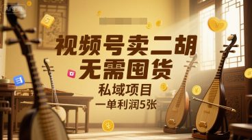 视频号卖二胡，无需囤货，私域项目，一单利润5张