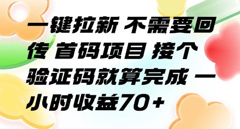 一键拉新 不需要回传 首码项目 接个验证码就算完成 一小时收益70+【揭秘】