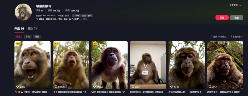 最新爆火的峨眉山猴子短视频制作教程，条条点赞10w+，谁做谁火【教程+提示词】