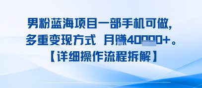 8月新男粉蓝海项目一部手机可做，多重变现方式 月入4W+【详细操作流程拆解】