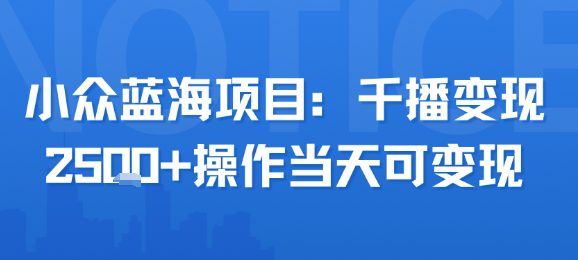 小众蓝海项目，千播变现2.5k+操作当天可变现