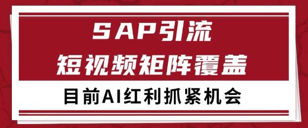 小红书某音sap赛道引流获客 自热矩阵日引200+【揭秘】