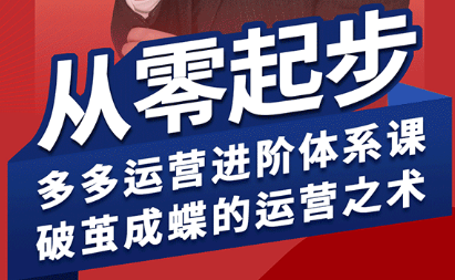 海神·拼多多运营进阶系统课(更新2026)-网创百晓生