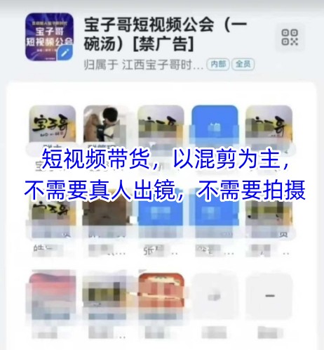 宝子哥头部团队短视频带货，以混剪为主，不需要真人出镜，不需要拍摄【更新26年3月】-网创百晓生