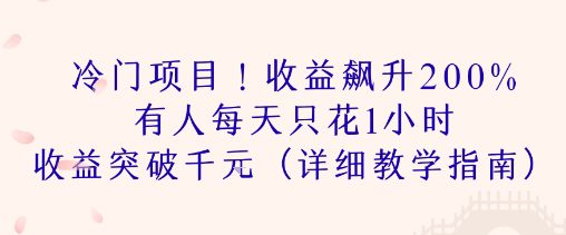 冷门项目！收益飙升200% 有人每天只花1小时 收益突破1k(详细教学指南)