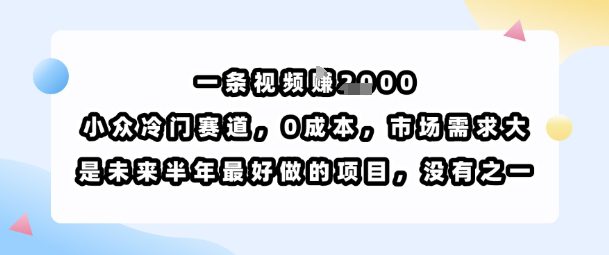 一条视频挣1k，小众冷门赛道，0成本，市场需求大，是未来半年最好做的项目，没有之一