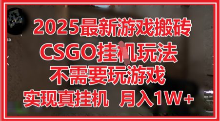 2025最新游戏搬砖，CSGO挂G，不需要玩游戏，实现真挂G，月入1W+【揭秘】