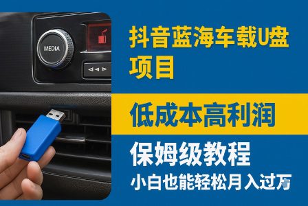 抖音蓝海车载U盘项目，低成本高利润保姆级教程，小白也能轻松月入过W