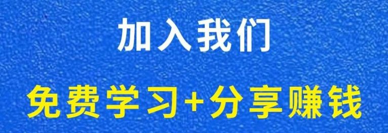 白菜价解锁20000+N个赚钱机会，加入网创百晓生会员，全站资源免费学习。-网创百晓生