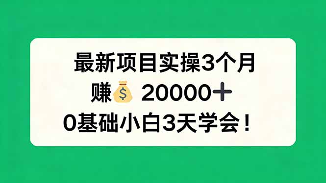 最新项目实操3个月，赚钱20000+，0基础小白3天学会！-网创百晓生