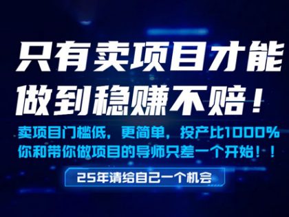 只有卖项目才能做到稳挣不赔，门槛低，更简单，你也可以年入百个W【揭秘】