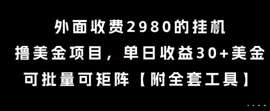 外面收费2980的挂G撸美金项目，单日收益30+美金，可批量可矩阵【揭秘】