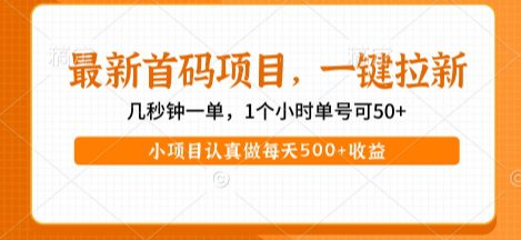 最新首码项目，操作最简单，收益高，一键拉新，1个小时单号可50+，小项目认真做每天5张+收益【揭秘】