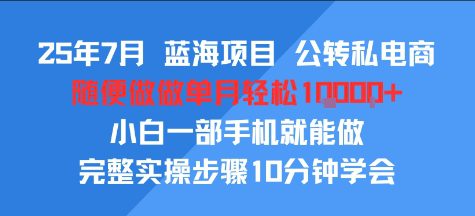 25年7月蓝海项目，公转私电商，随便做做单月轻松1w，小白一部手机就能做，完整实操步骤10分钟学会