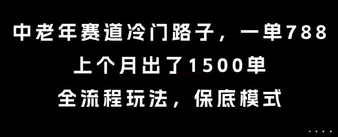 中老年赛道冷门路子，一单788，上个月出了1500单，全流程玩法，保底模式【揭秘】