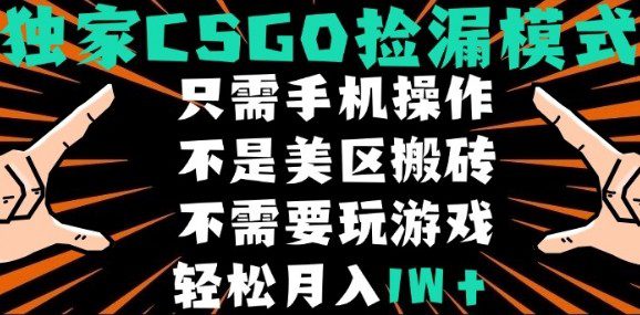 CSGO自动捡漏项目，最新独家玩法，不是美区搬砖，不需要了解和玩游戏，新手小白轻松月入1W+【揭秘】