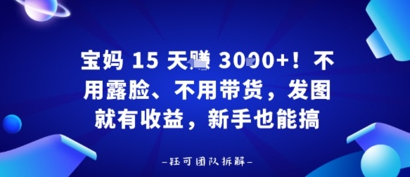 宝妈15天賺3k+！不用露脸、不用带货，发图就有收益，新手也能搞-网创百晓生