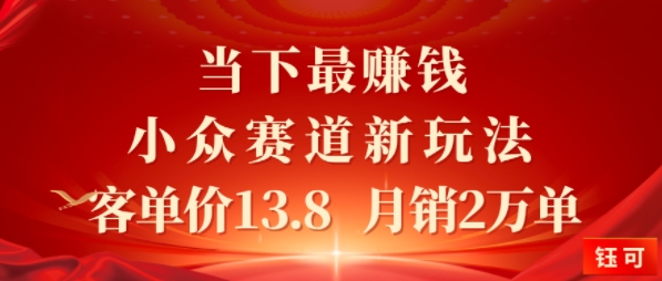 当下最挣钱的小众赛道 小红书新玩法10个作品涨粉3W，客单价13.8 &nbsp;月销2W单
