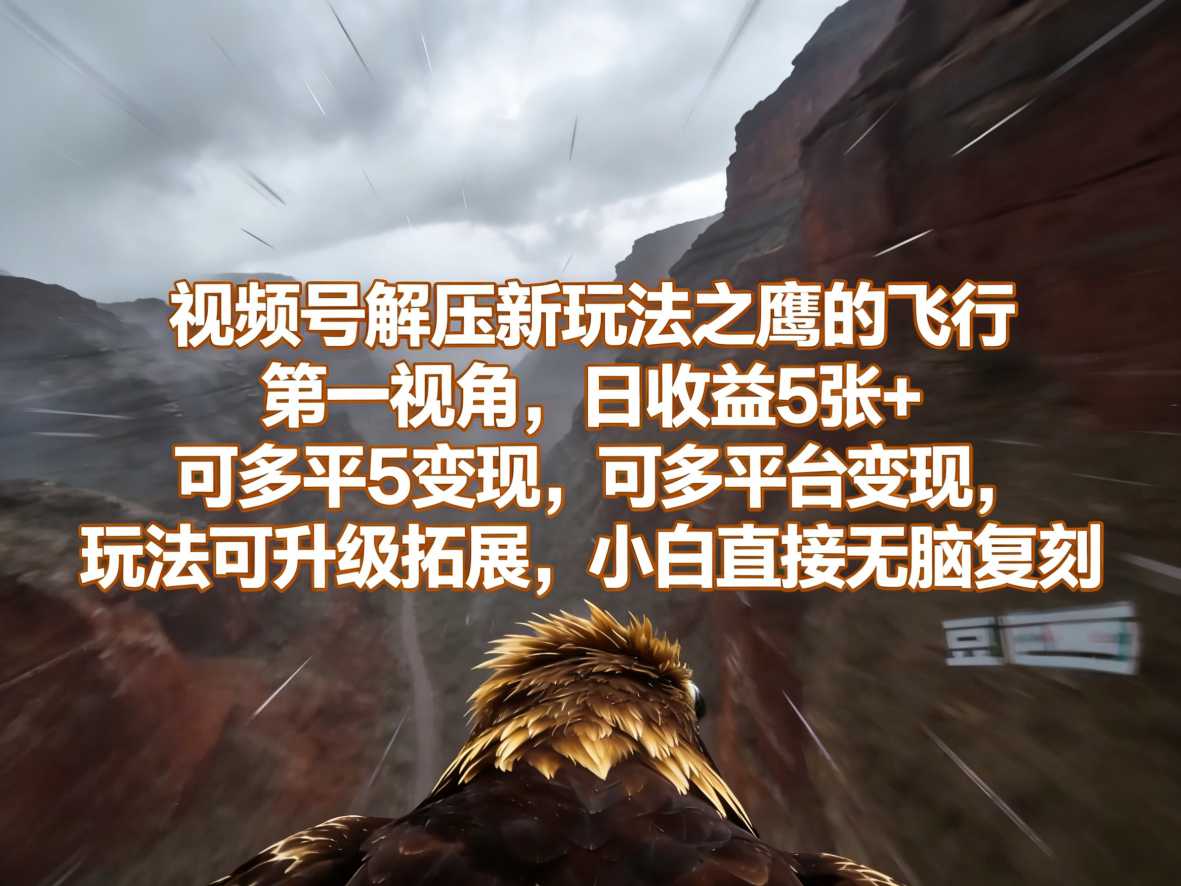 视频号解压新玩法之鹰的飞行第一视角，日收益5张+，可多平台变现，玩法可升级拓展，小白直接无脑复刻-网创百晓生